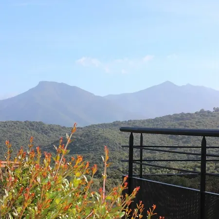 Domaine Olmeta *
