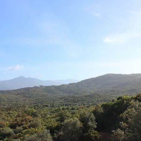 Domaine Olmeta Porticcio (Corsica)